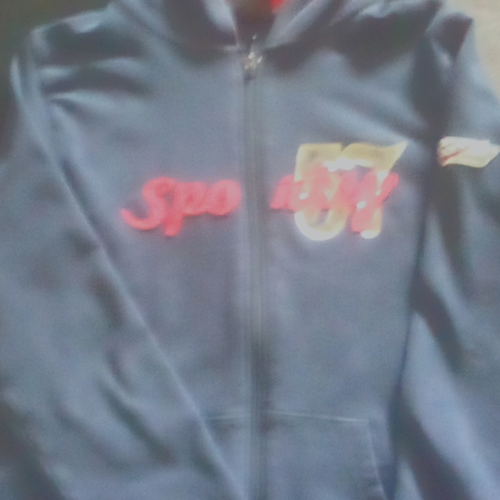 Harley davidson zip up swratshirts sizeL